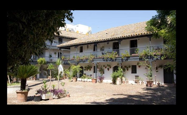 Apartamento En Monumento Historico Nacional Corral Del Conde-Duque De Olivares Sevilla Kültér fotó